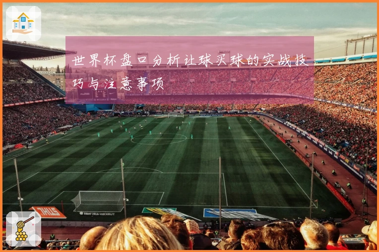 世界杯盘口分析让球买球的实战技巧与注意事项