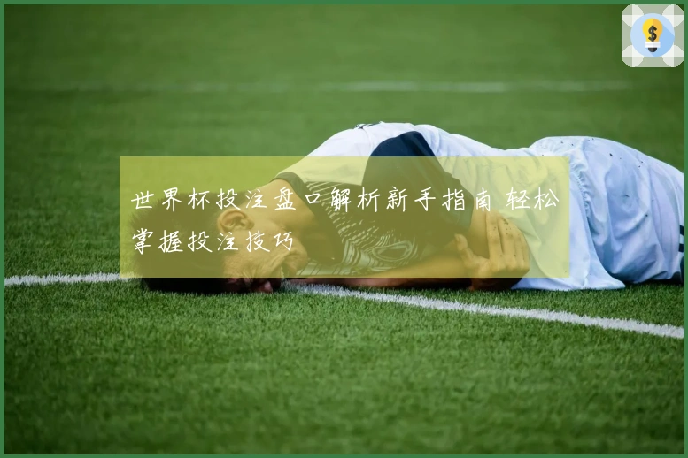 世界杯投注盘口解析新手指南 轻松掌握投注技巧