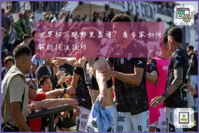 世界杯买球哪里靠谱？看专家如何解析投注技巧