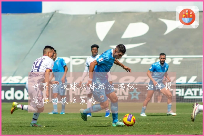 世界杯滚球买球玩法揭秘：如何提高你的投注策略