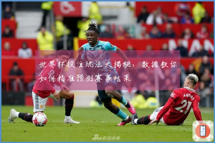 世界杯投注玩法大揭秘，数据教你如何精准预测赛事结果