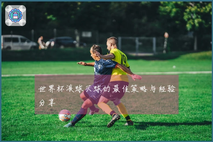 世界杯滚球买球的最佳策略与经验分享