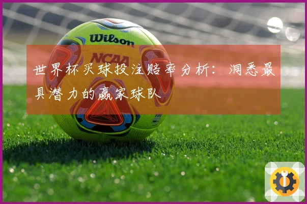 世界杯买球投注赔率分析：洞悉最具潜力的赢家球队