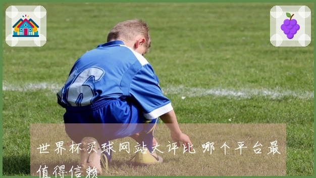 世界杯买球网站大评比 哪个平台最值得信赖