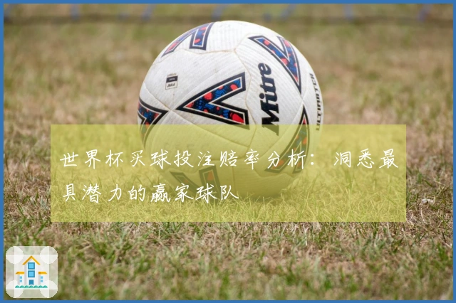 世界杯买球投注赔率分析：洞悉最具潜力的赢家球队